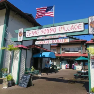 Shop & Stroll: $200 to Spend at Ching Young Village