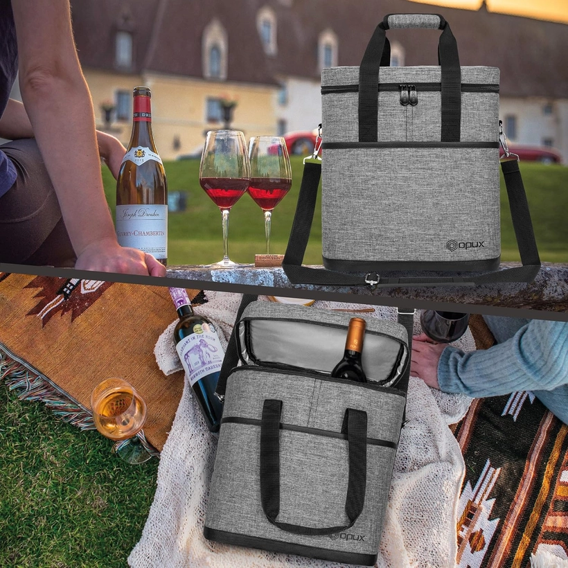 Fully Loaded Ready-to-Go-Drinks Cooler: Sip in Style!