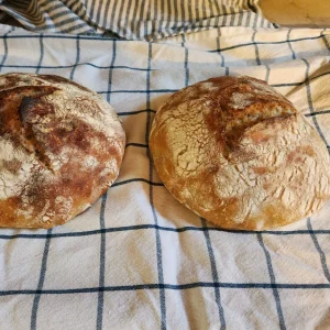 Fresh from the Oven: Two Artisan Sourdough Loaves