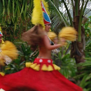 Feast, Fire & Hula: Smith Family Garden Luau for 4
